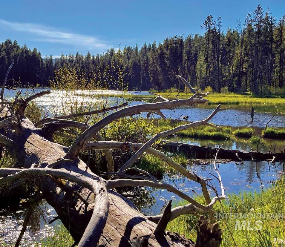 ±1812 Acres Big Creek Property Photo 4