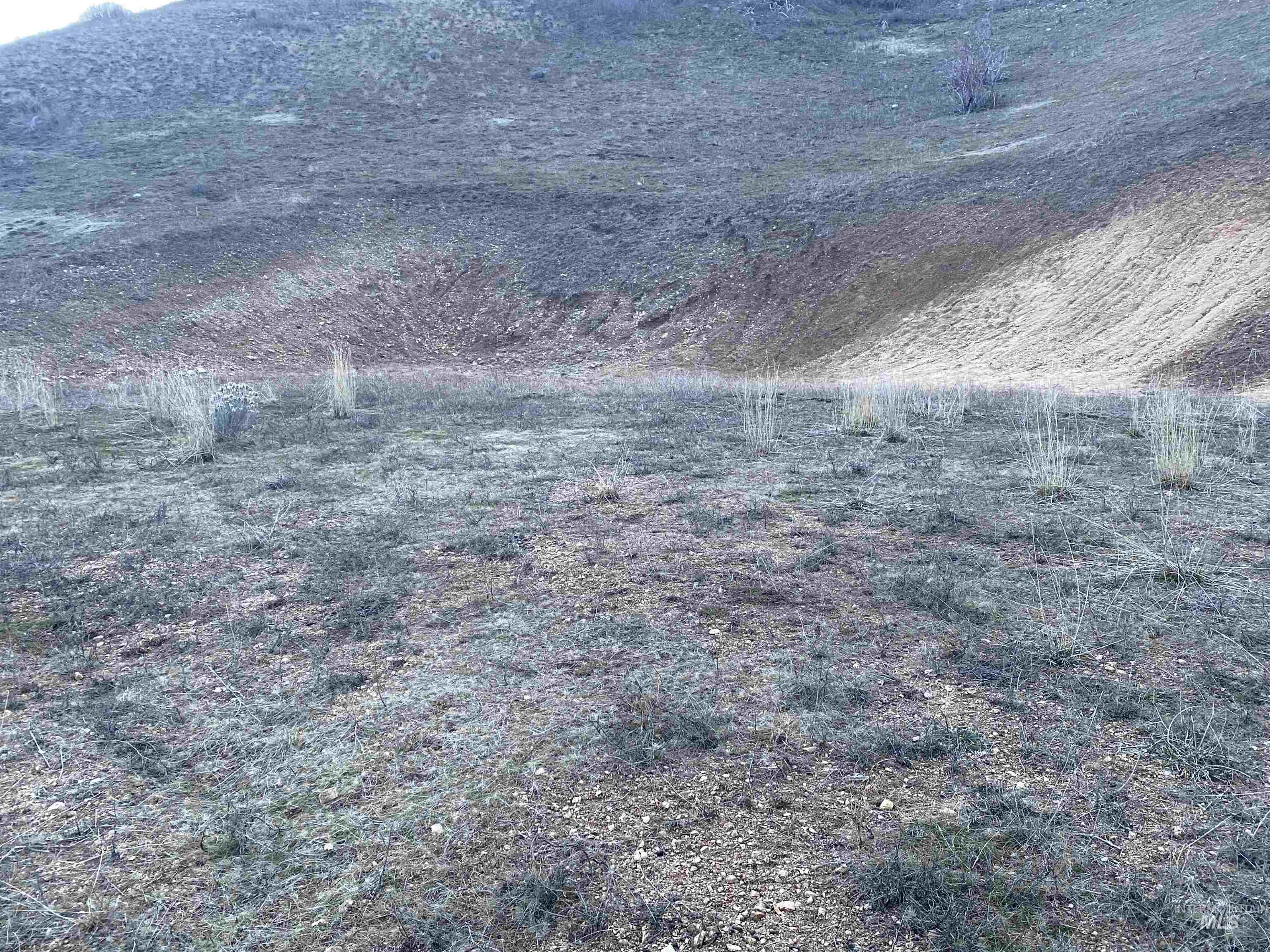 Lot 12 Chaparral Property Photo 5