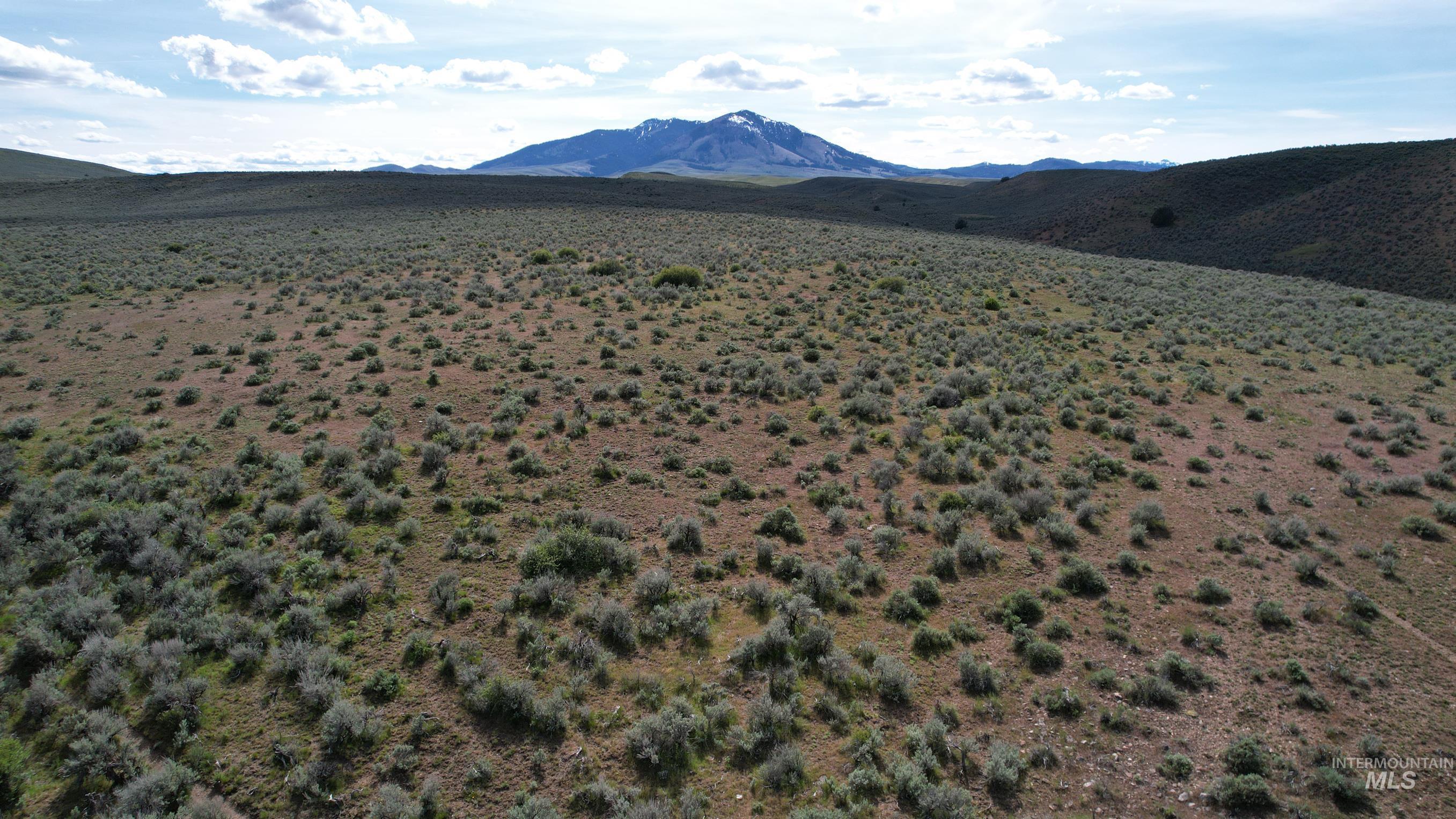 Tbd Rose Creek Road West Property Photo 2