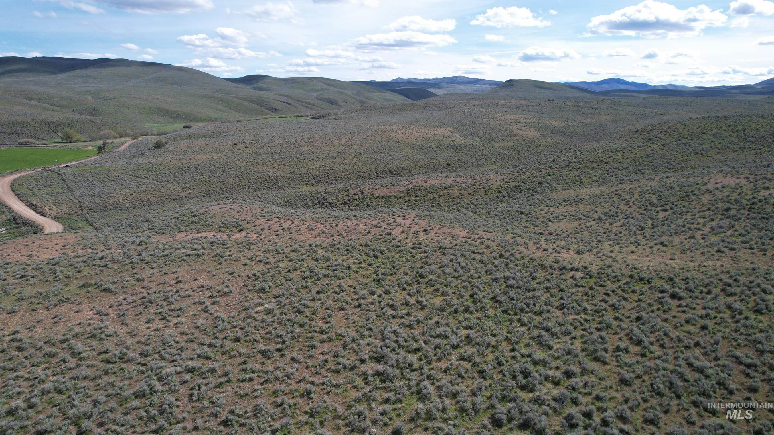 Tbd Rose Creek Road West Property Photo 5