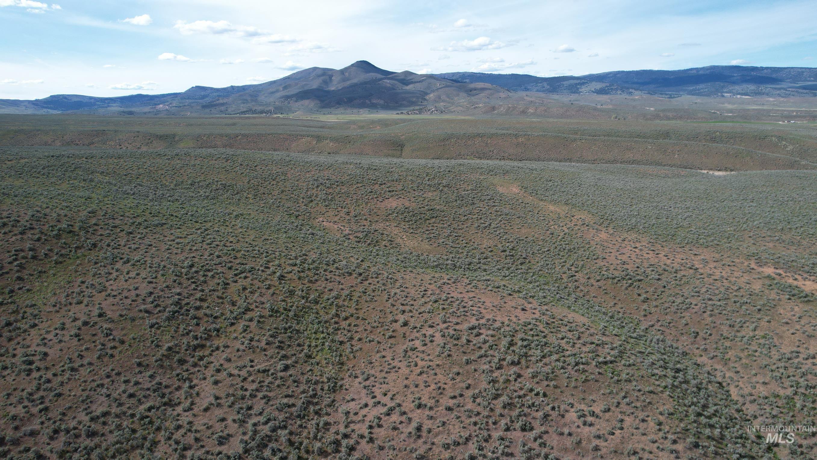 Tbd Rose Creek Road West Property Photo 7