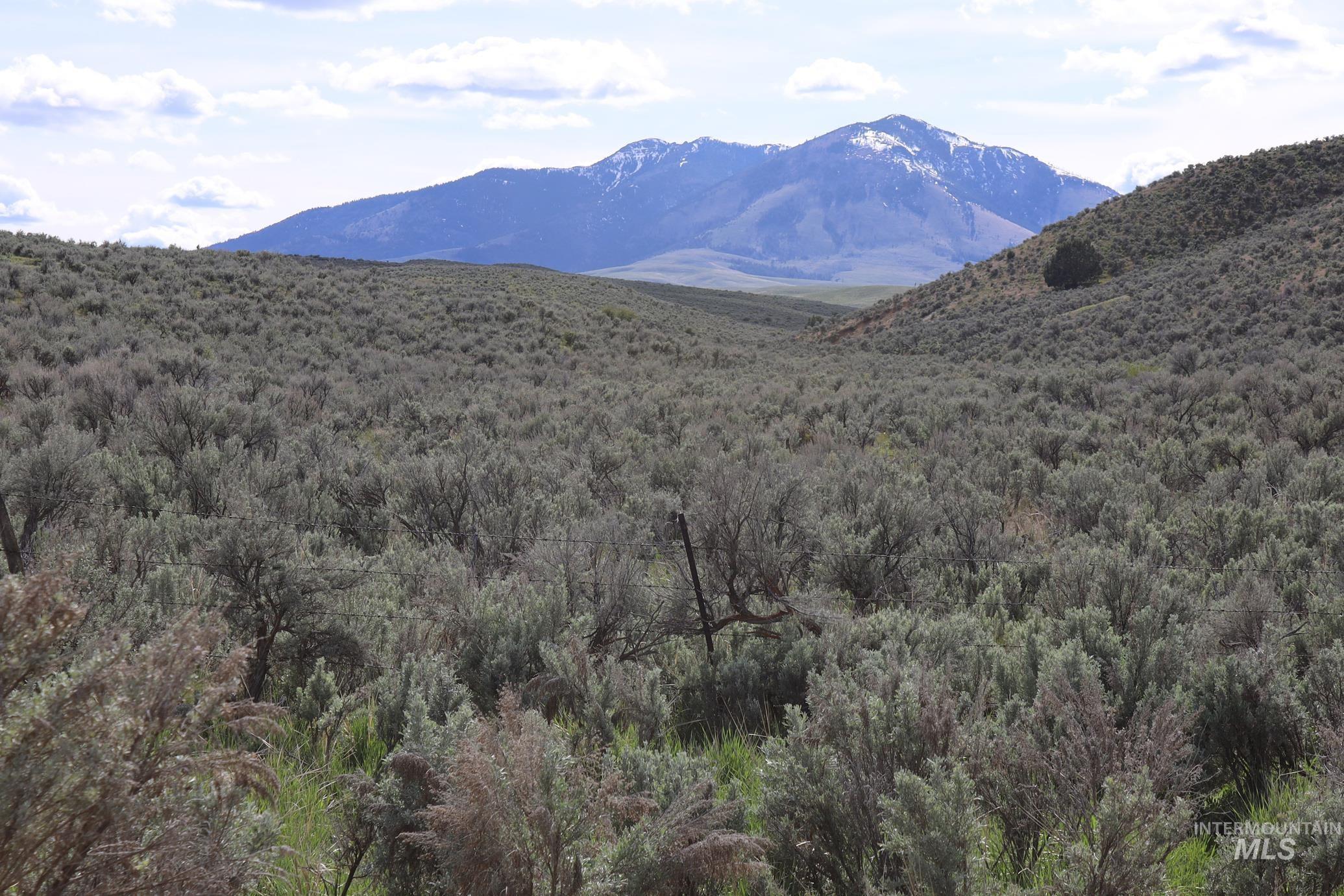 Tbd Rose Creek Road West Property Photo 8