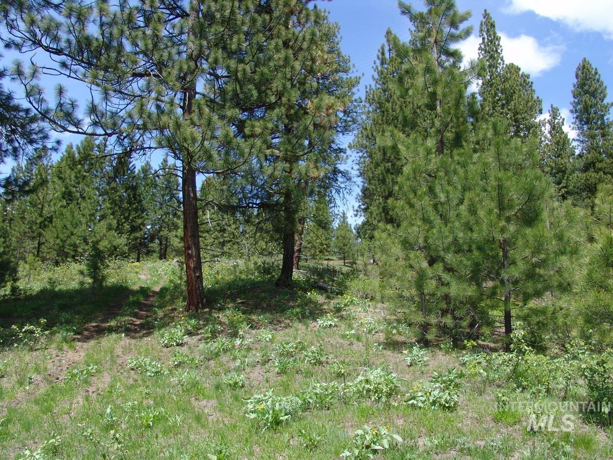 28 Rehn Loop Property Photo 4