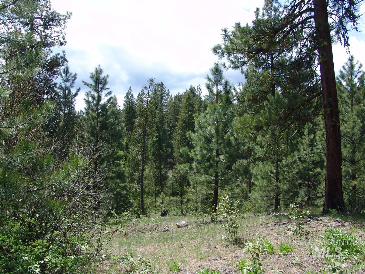 28 Rehn Loop Property Photo 5