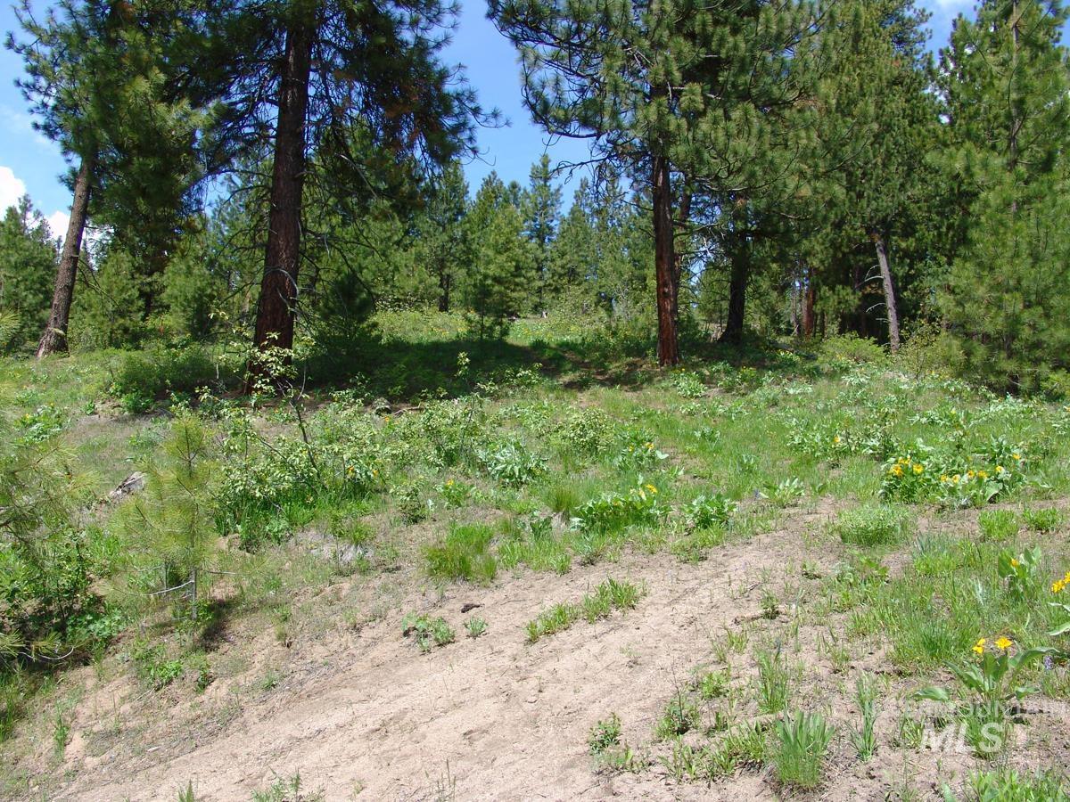 28 Rehn Loop Property Photo 6