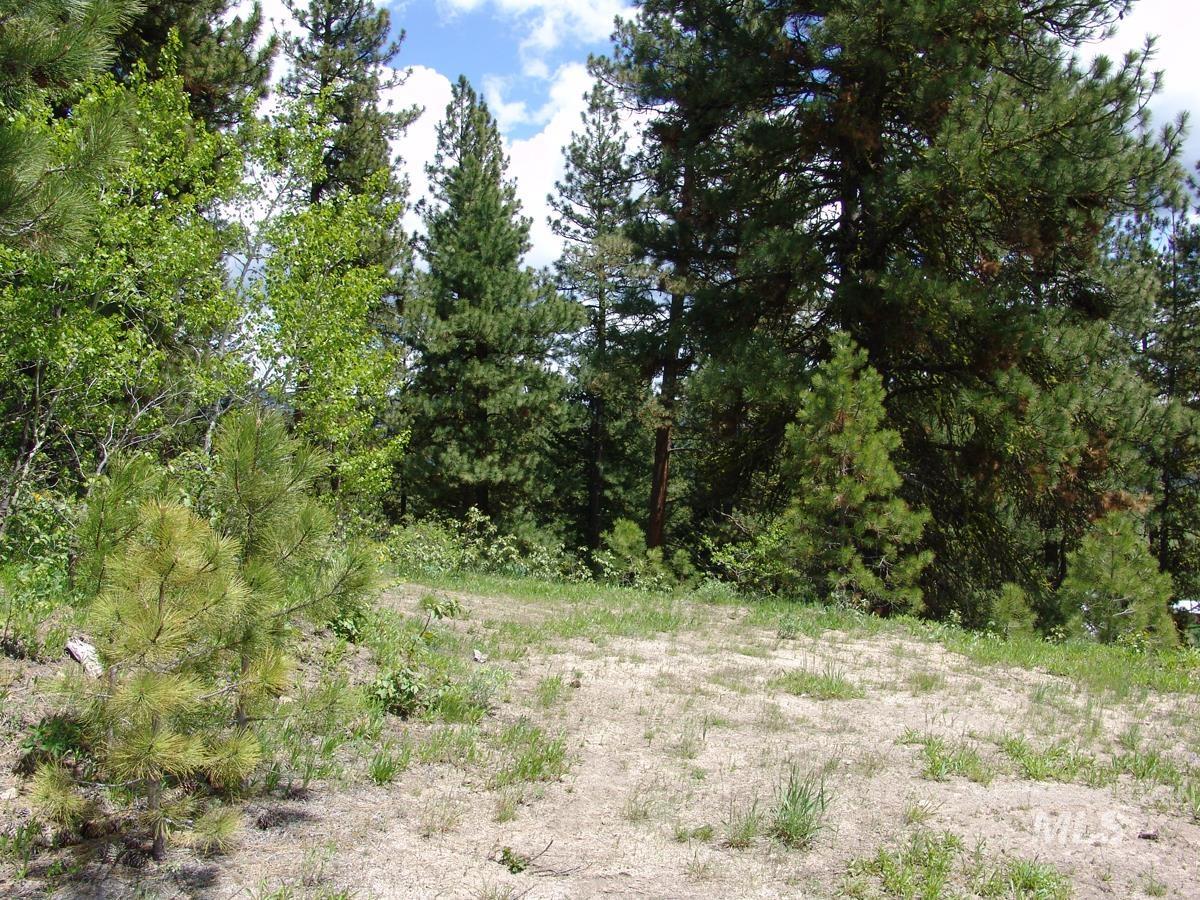 28 Rehn Loop Property Photo 7