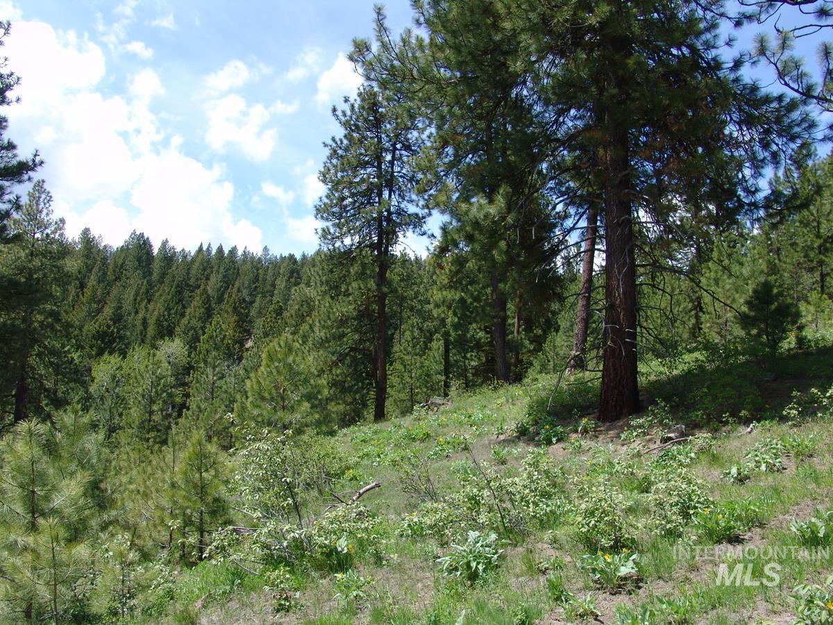28 Rehn Loop Property Photo 10