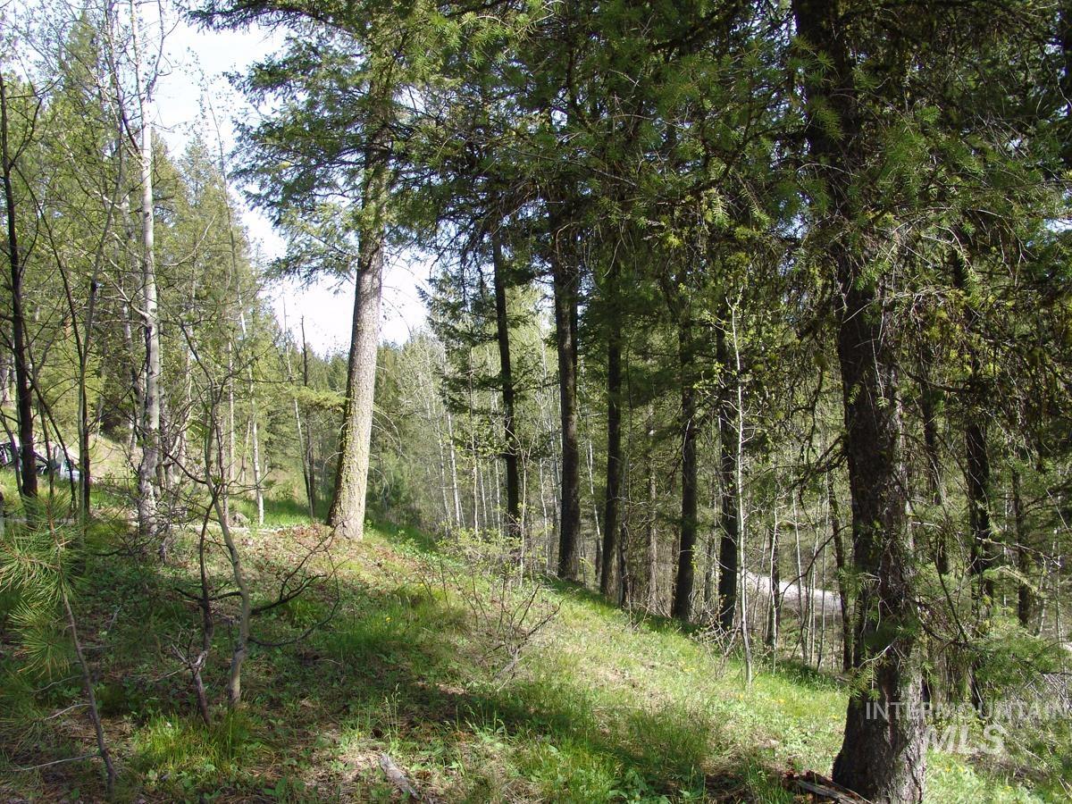 21 Rehn Loop Property Photo 2