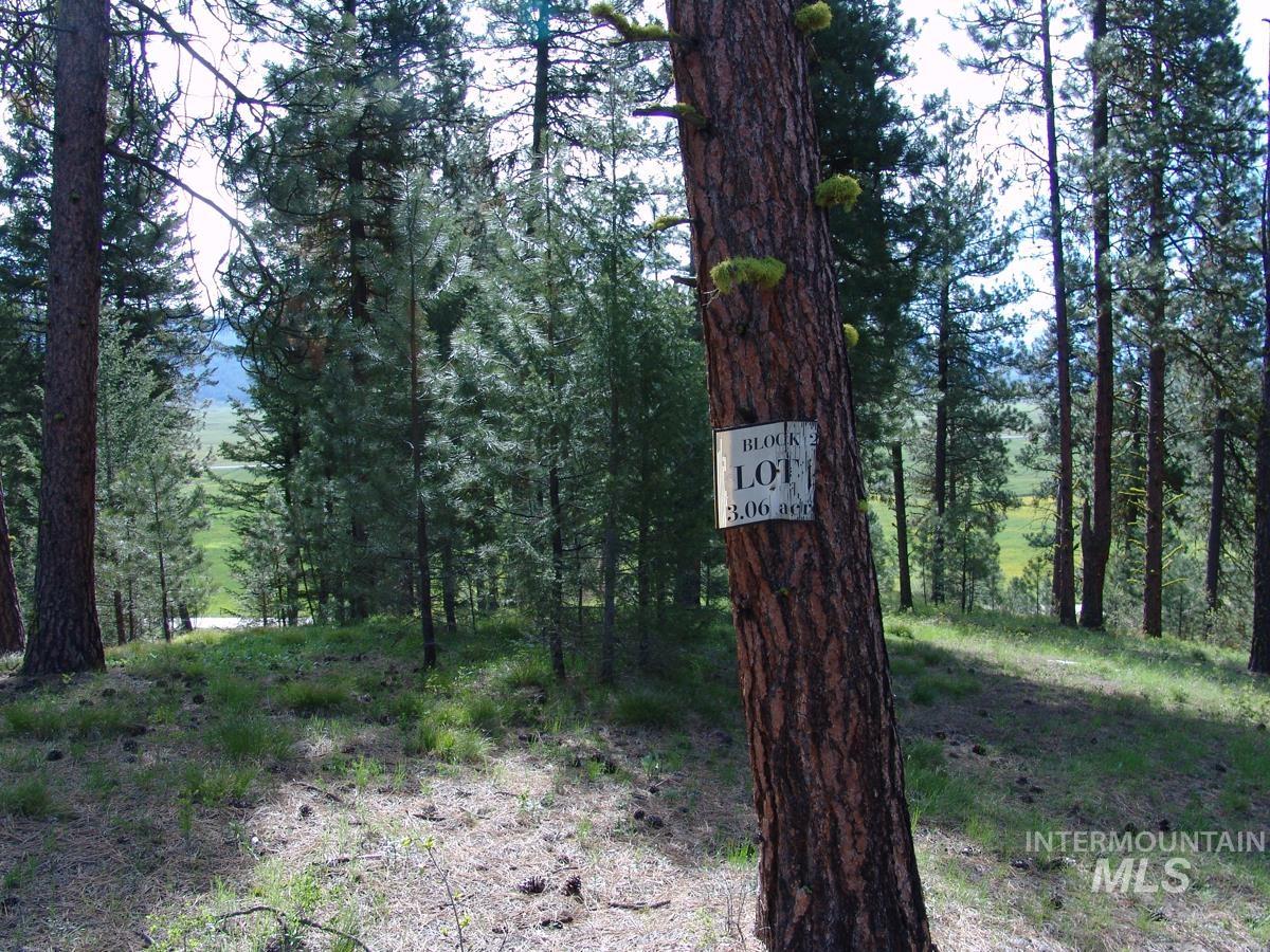 21 Rehn Loop Property Photo 4