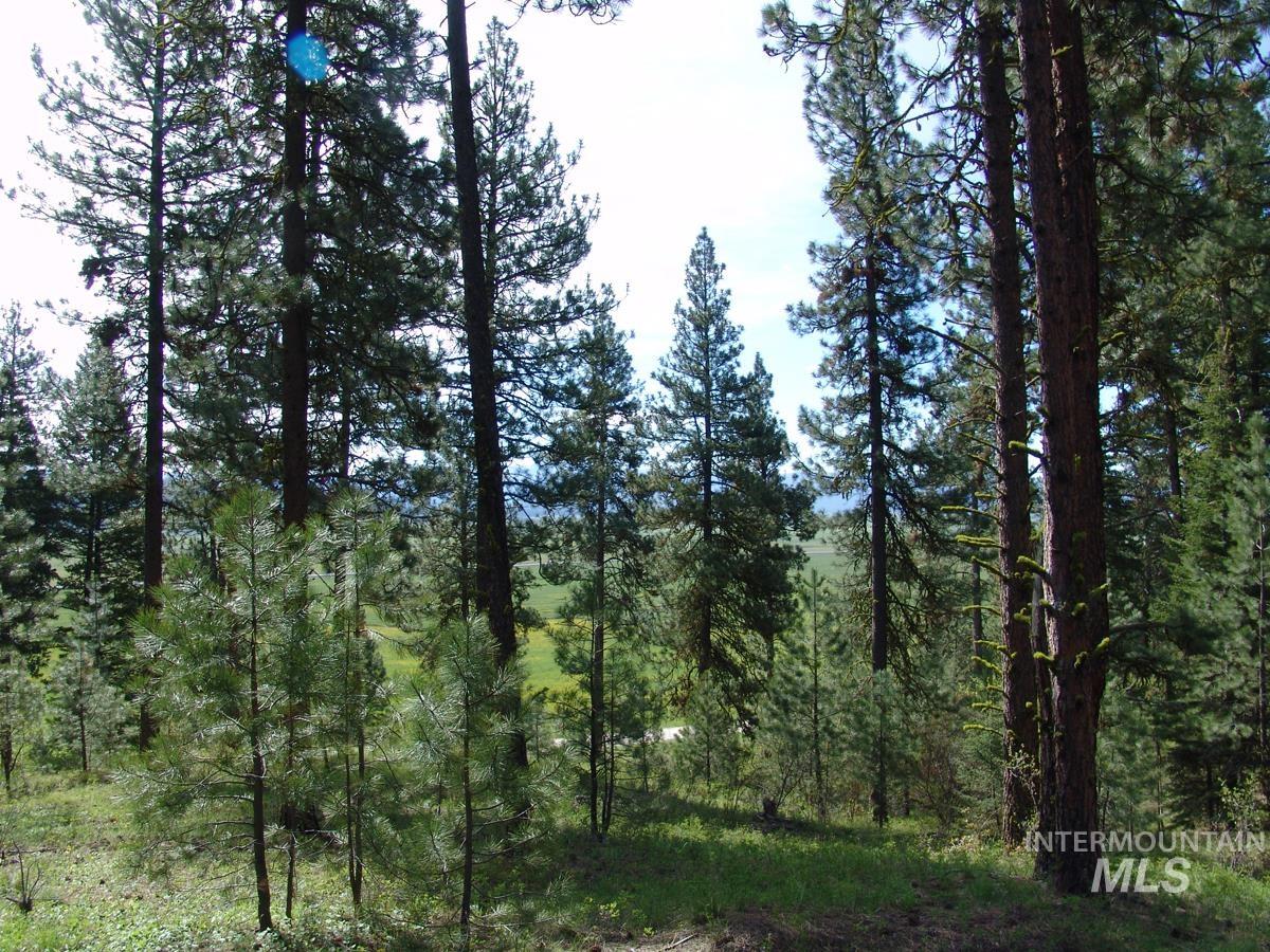 21 Rehn Loop Property Photo 5