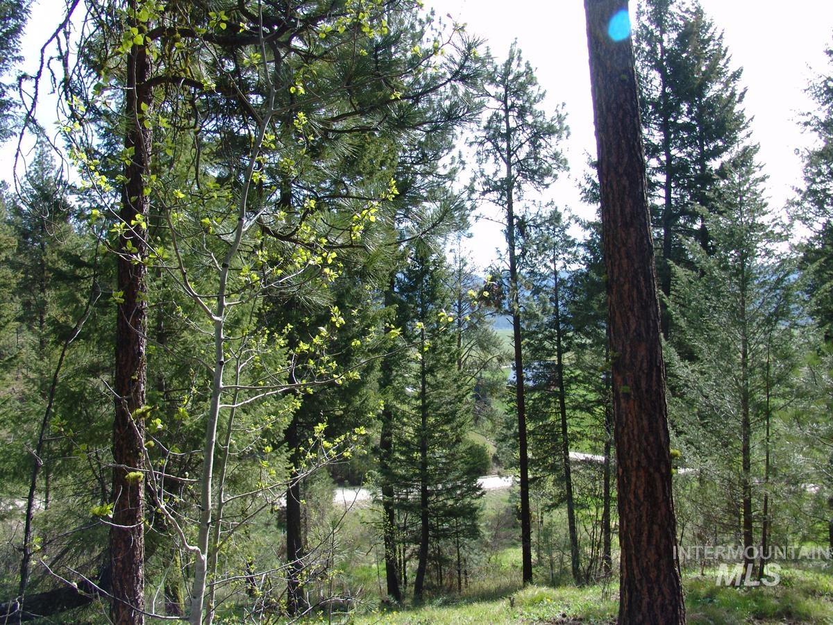 21 Rehn Loop Property Photo 6