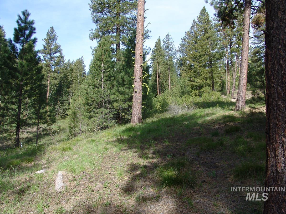 21 Rehn Loop Property Photo 7