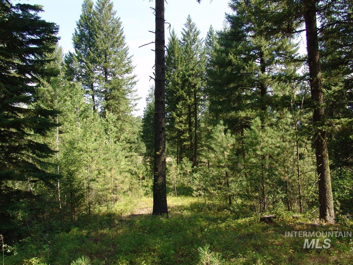 105 Poplar Lane Property Photo 4