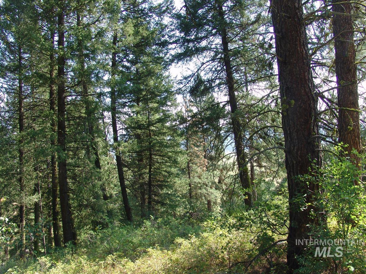105 Poplar Lane Property Photo 8