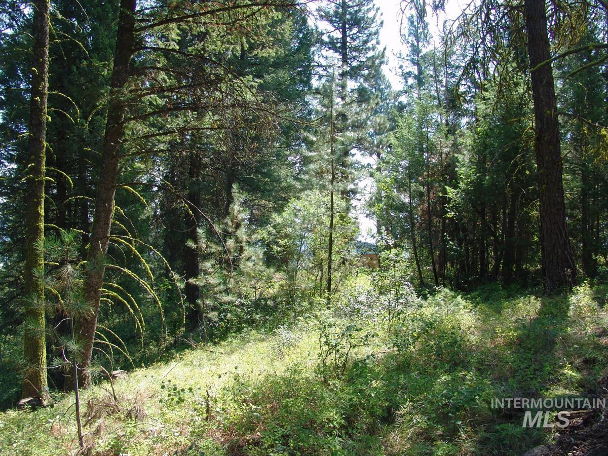 105 Poplar Lane Property Photo 11