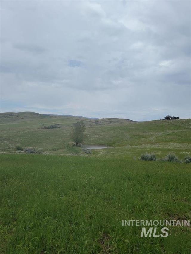 180 Brownlee Loop Property Photo 3