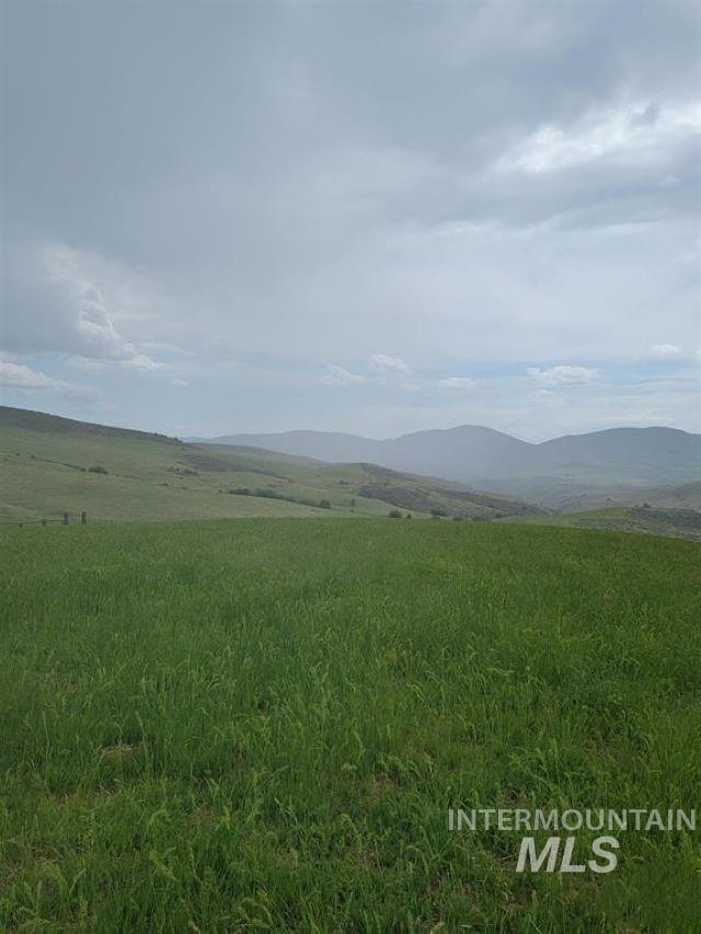 180 Brownlee Loop Property Photo 5
