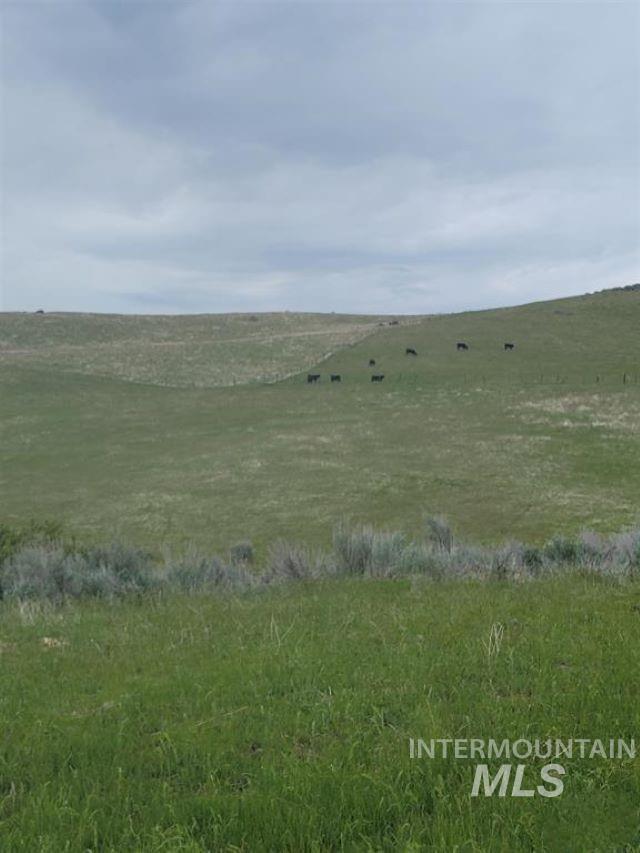 180 Brownlee Loop Property Photo 11