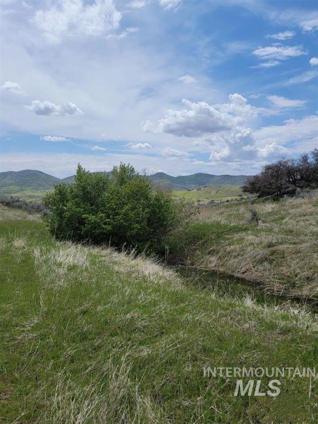 180 Brownlee Loop Property Photo 14
