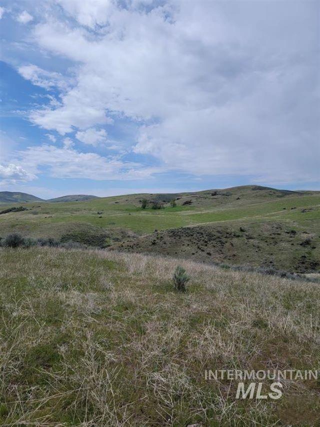 180 Brownlee Loop Property Photo 21