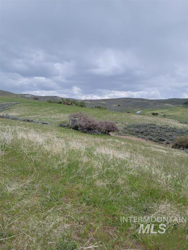 180 Brownlee Loop Property Photo 22