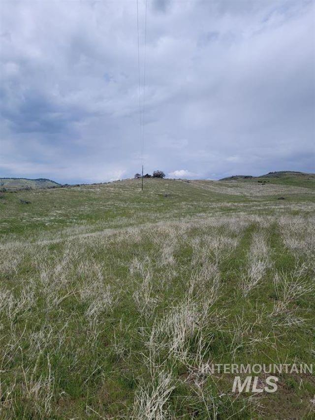 180 Brownlee Loop Property Photo 24