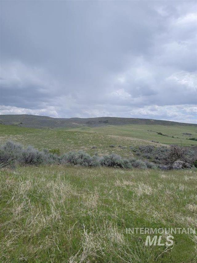 180 Brownlee Loop Property Photo 25