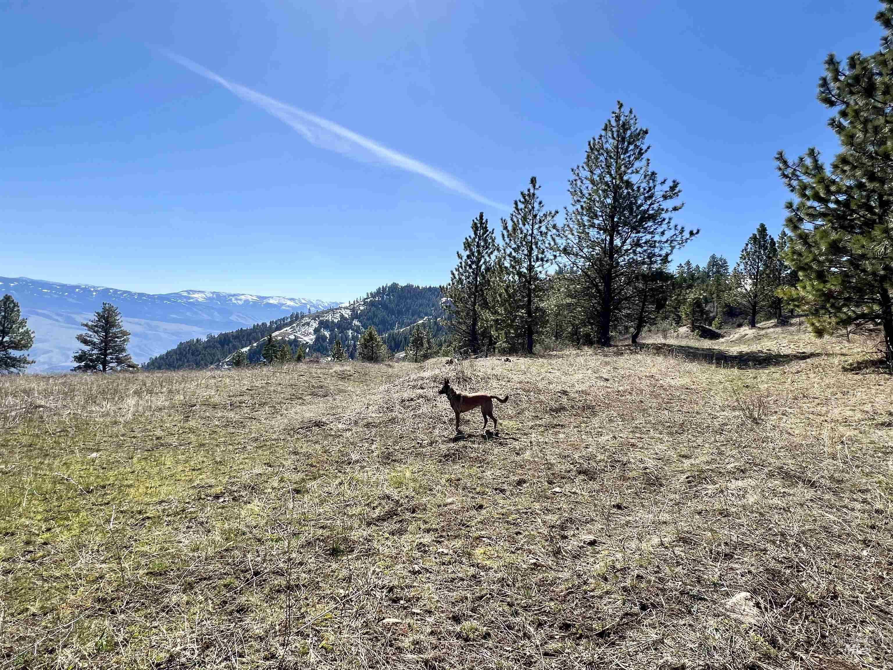 Tbd Lot 50 Twin River Ranch Iii Property Photo 7