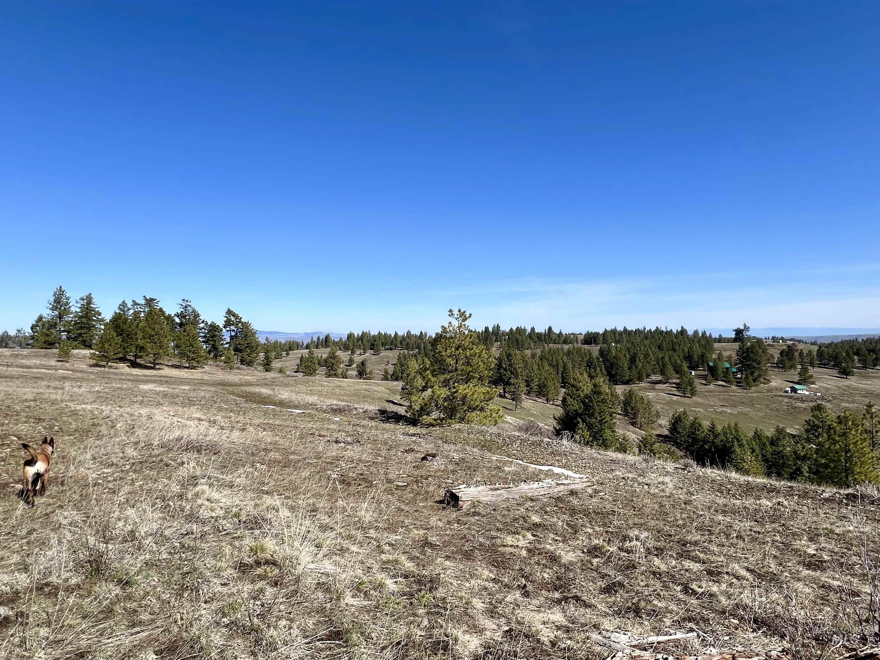 Tbd Lot 50 Twin River Ranch Iii Property Photo 9