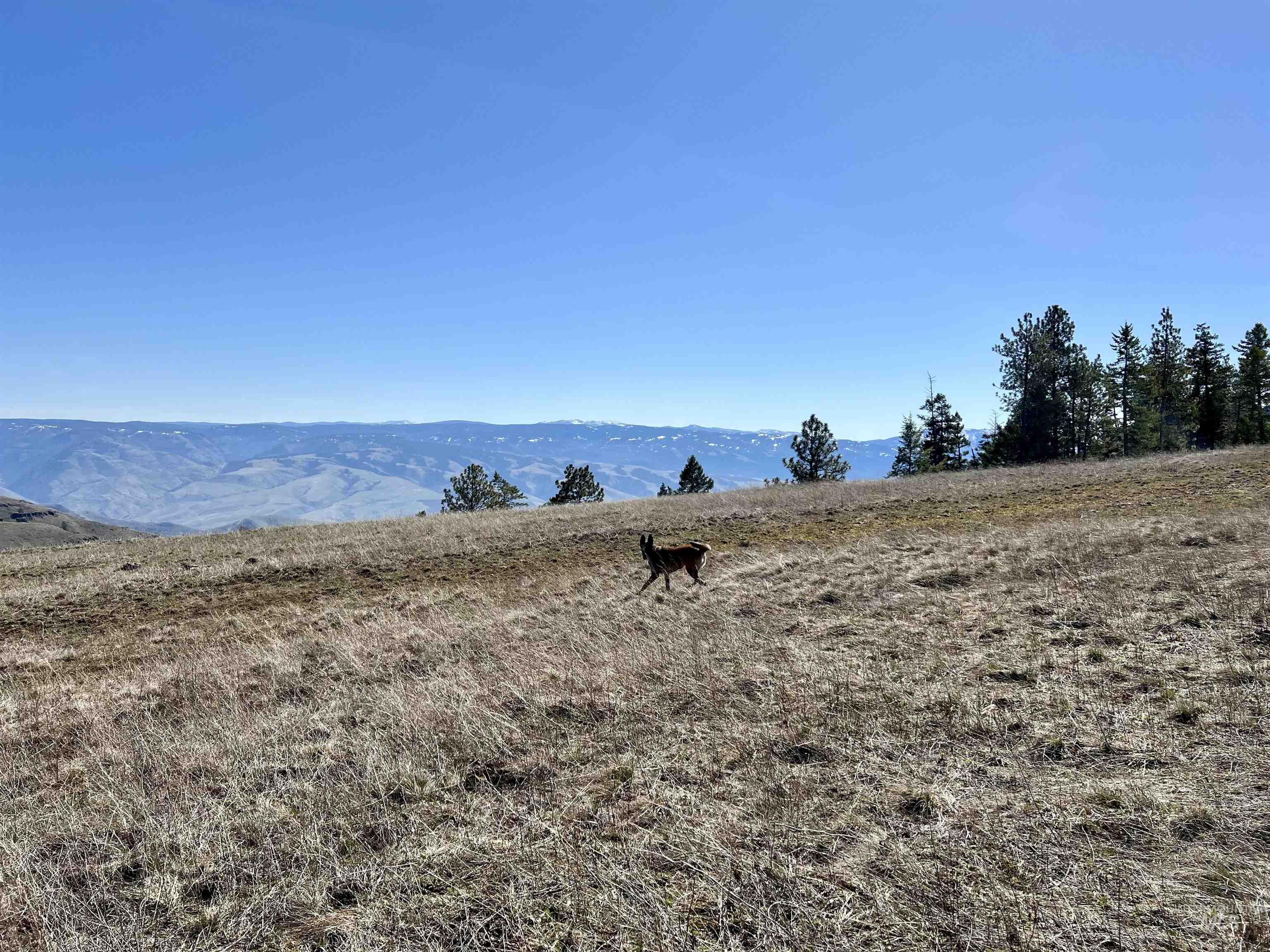 Tbd Lot 50 Twin River Ranch Iii Property Photo 10