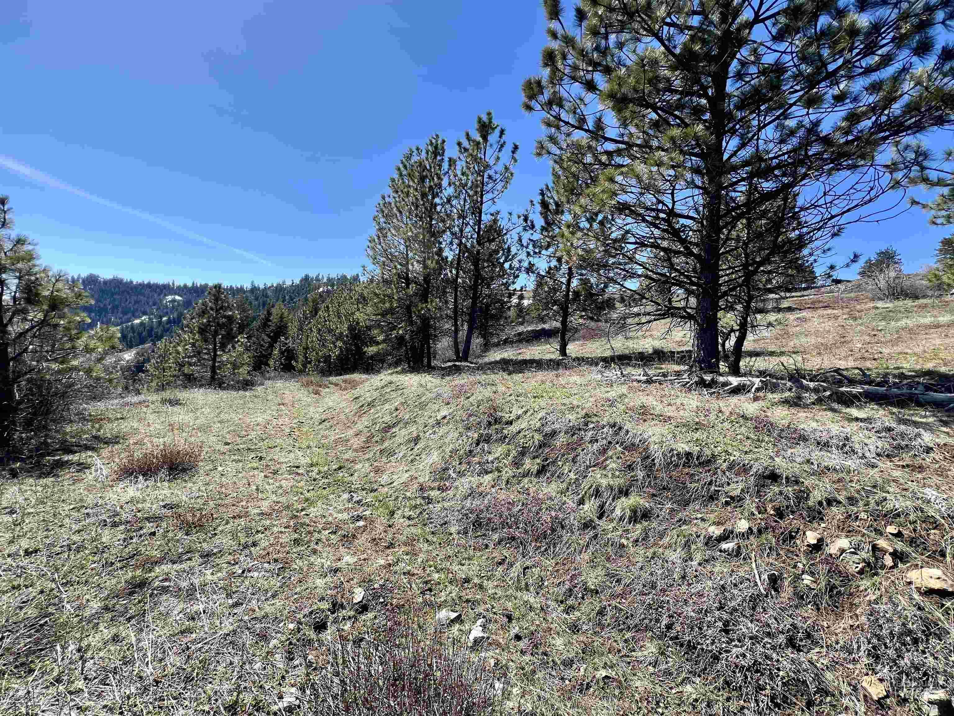 Tbd Lot 50 Twin River Ranch Iii Property Photo 11