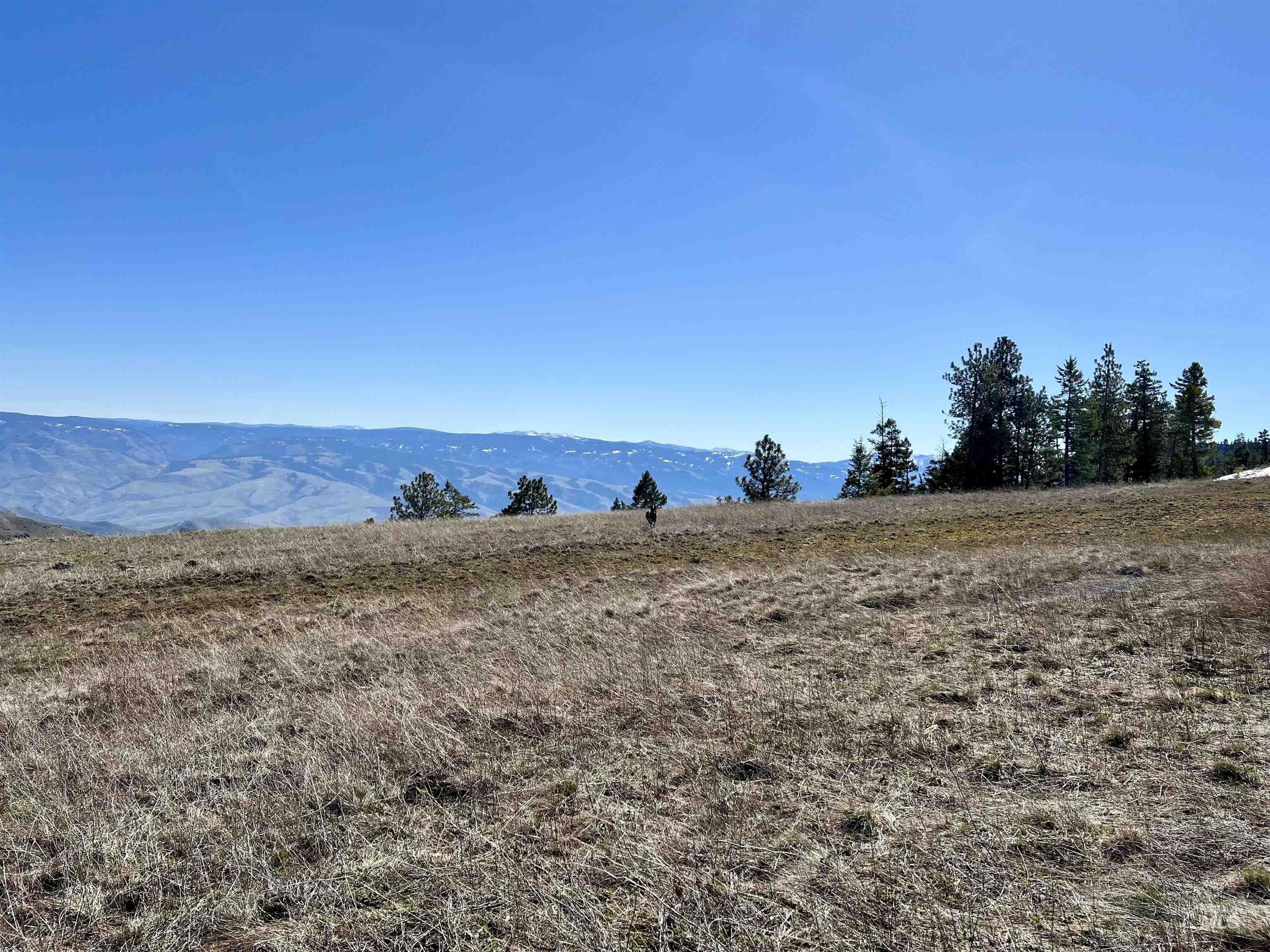 Tbd Lot 50 Twin River Ranch Iii Property Photo 12