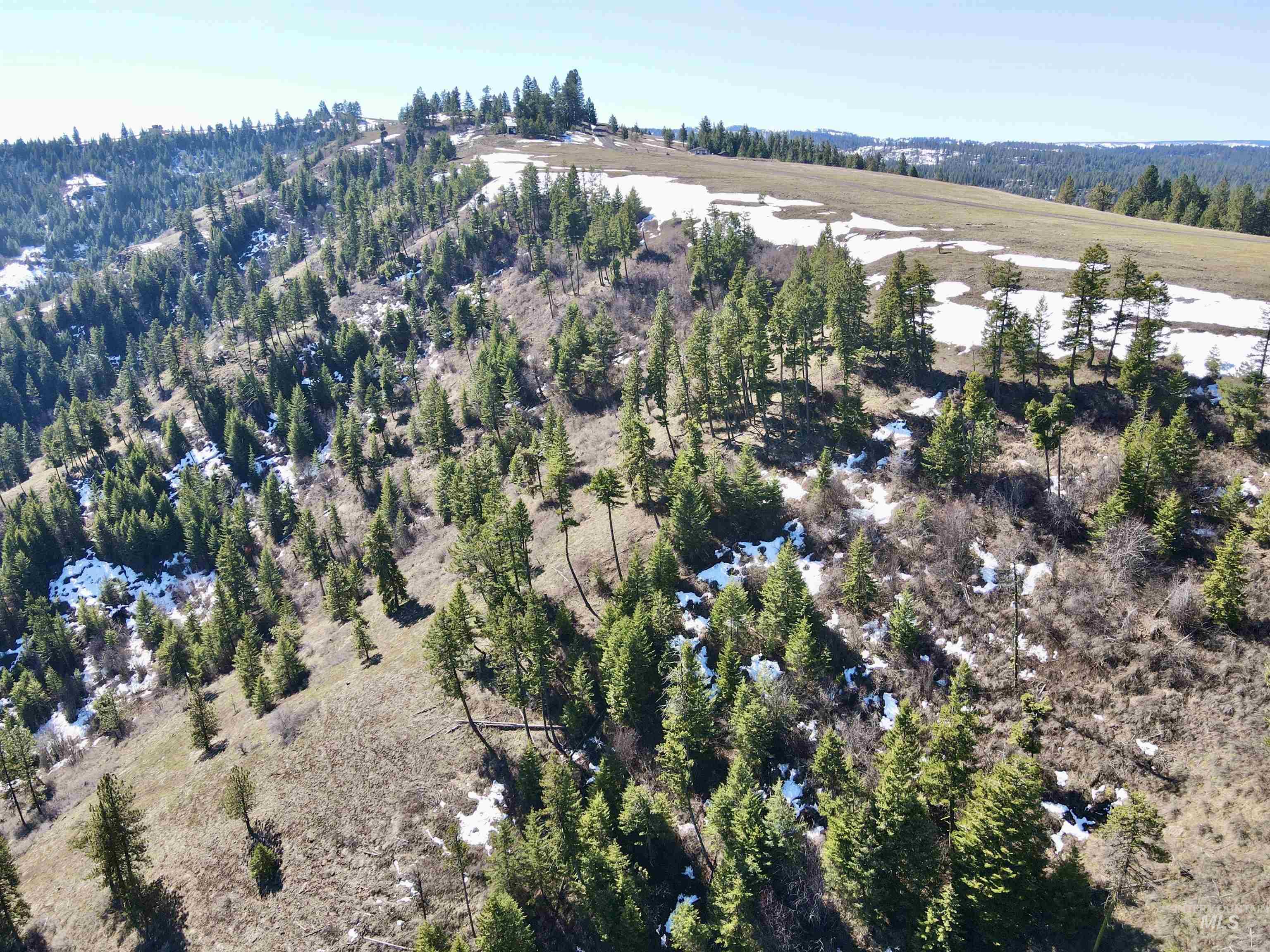 Tbd Lot 50 Twin River Ranch Iii Property Photo 13
