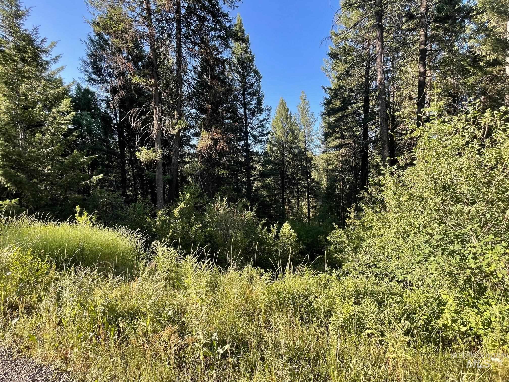 Tbd Thistle Down Rd Property Photo 2