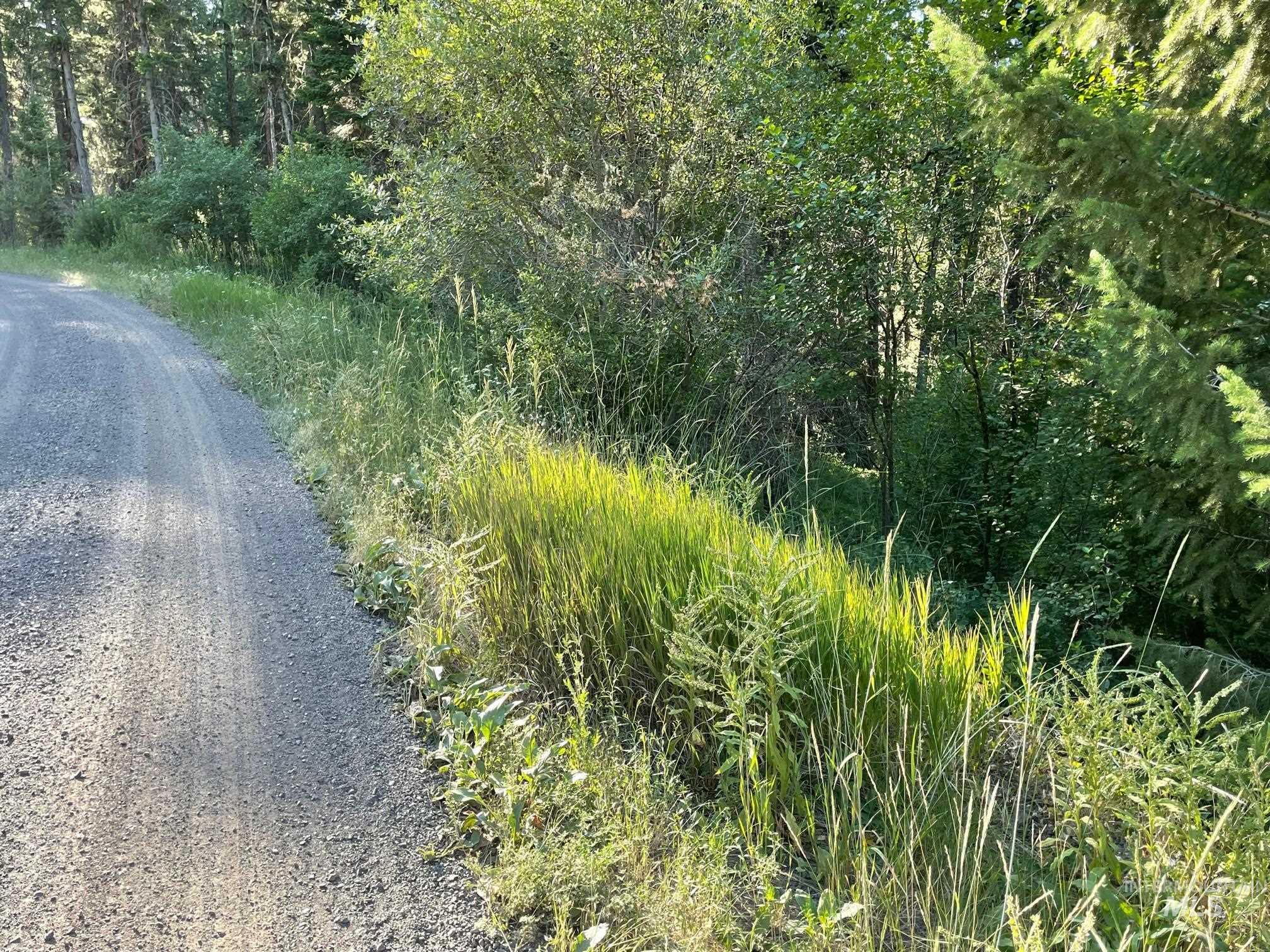 Tbd Thistle Down Rd Property Photo 5