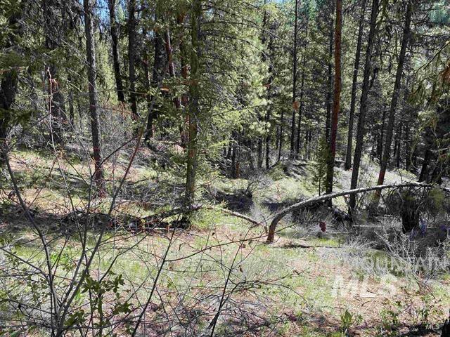 Lot 3 Glen Forest Property Photo 3