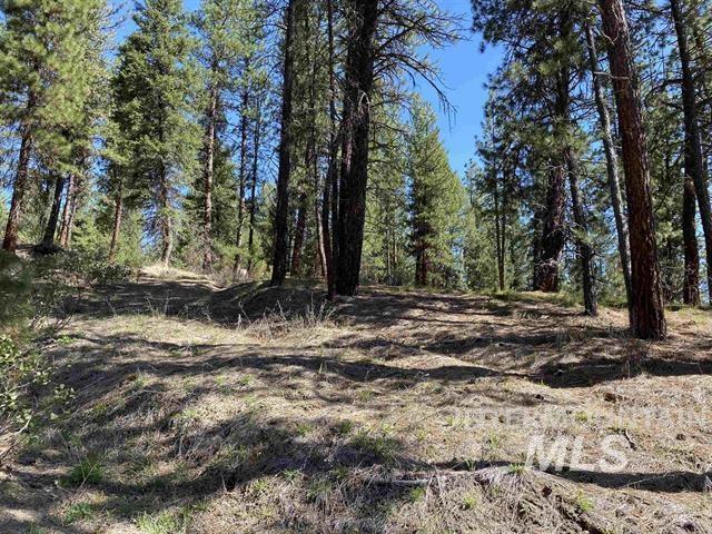 Lot 3 Glen Forest Property Photo 6