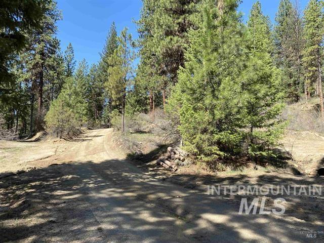 Lot 3 Glen Forest Property Photo 8