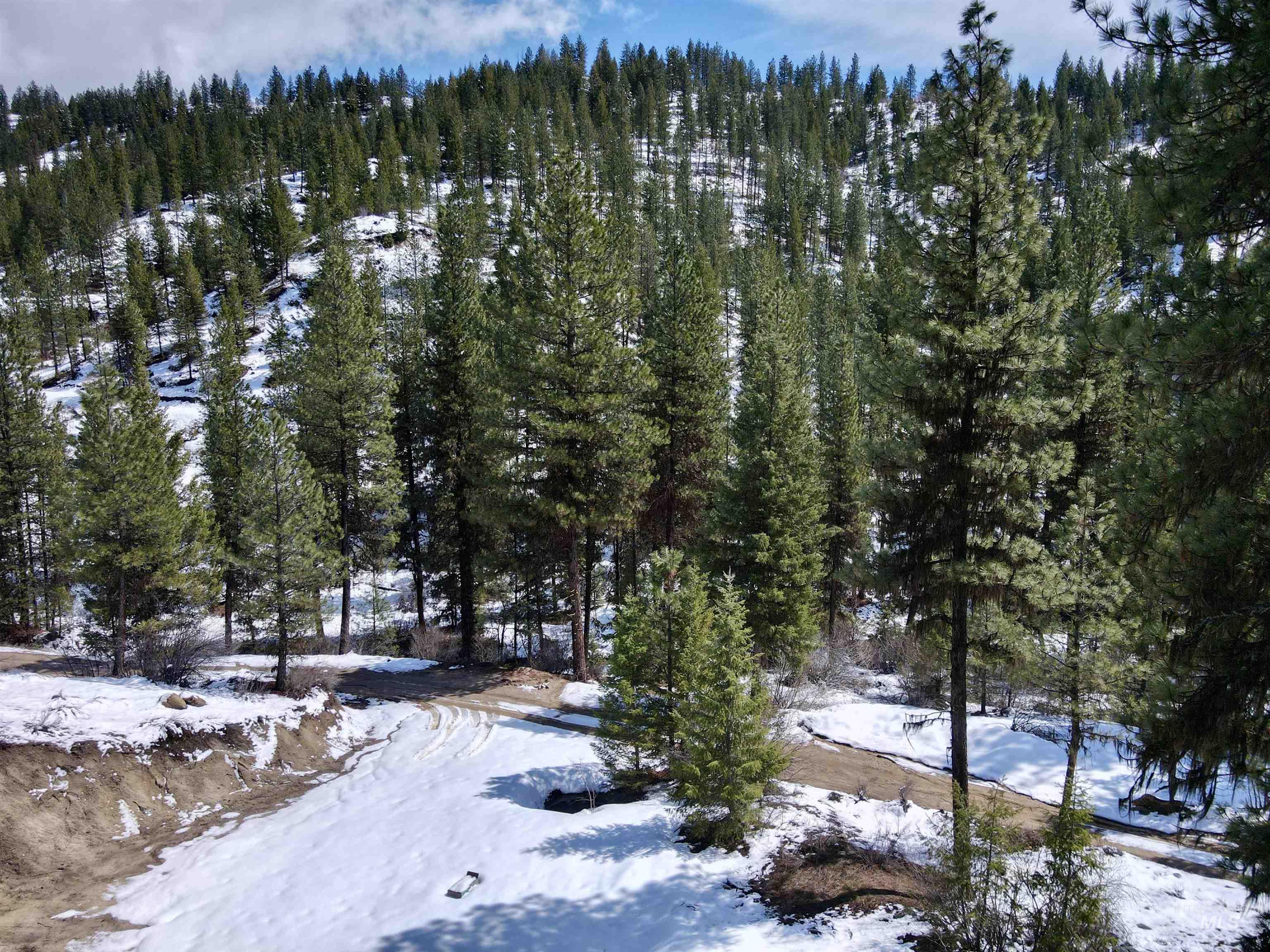 Lot 3 Glen Forest Property Photo 11