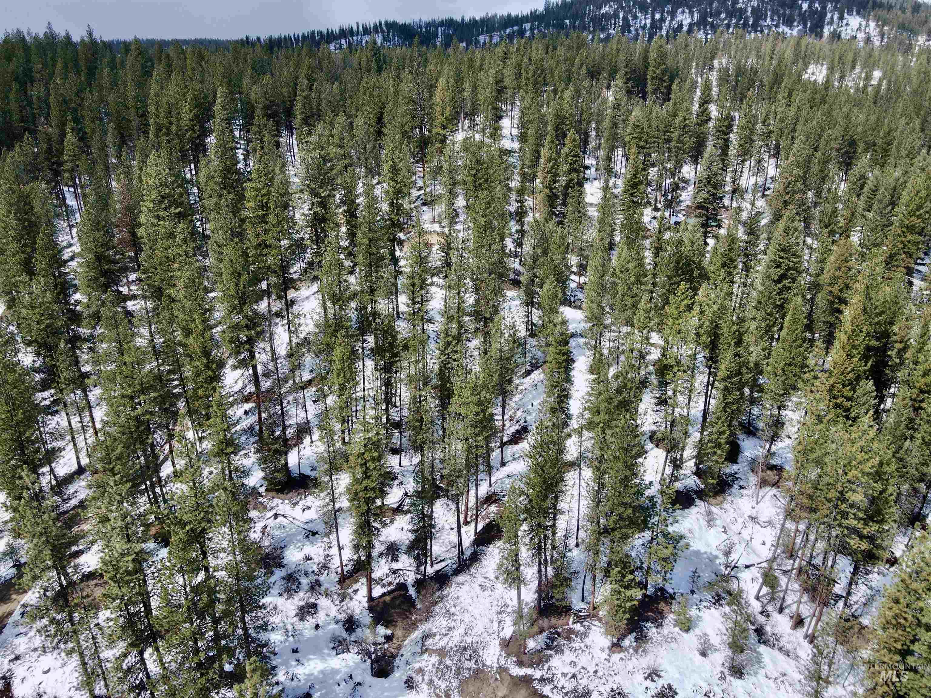 Lot 3 Glen Forest Property Photo 16