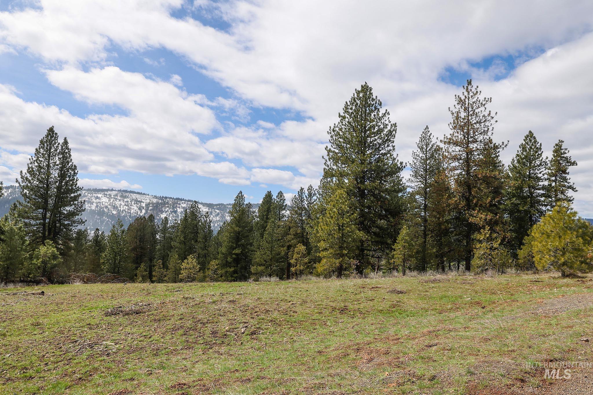 Lot 14 Tamarack View Property Photo 7