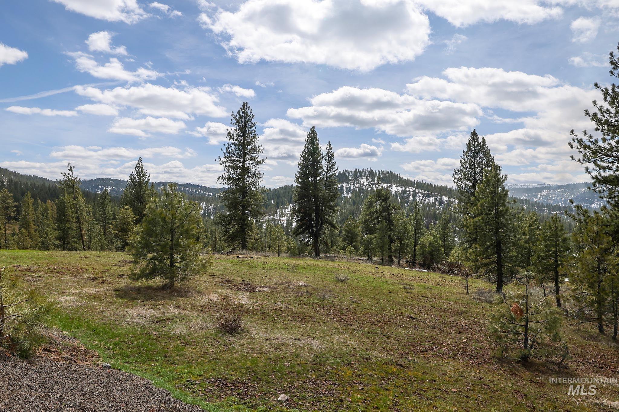 Lot 14 Tamarack View Property Photo 8