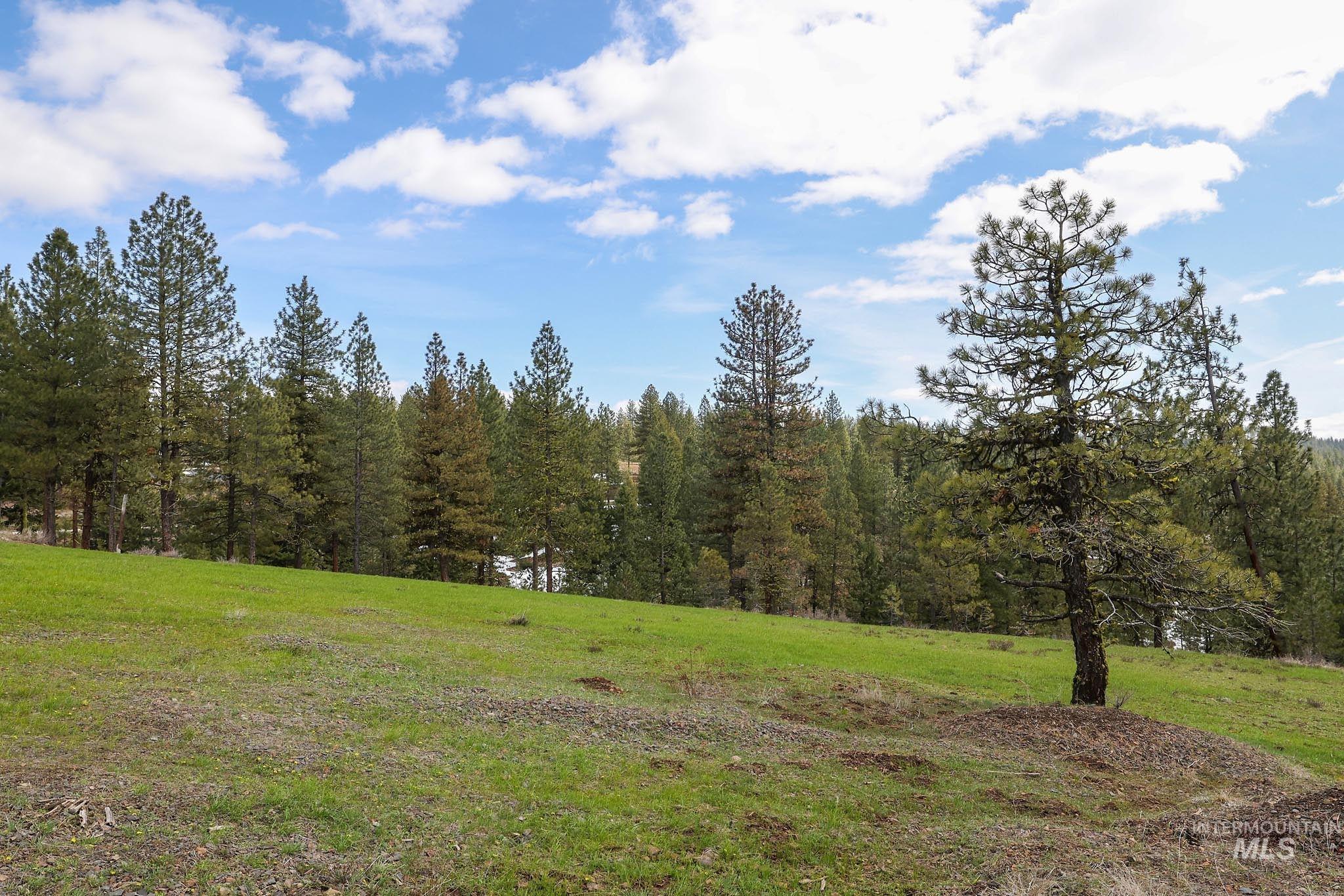 Lot 14 Tamarack View Property Photo 11