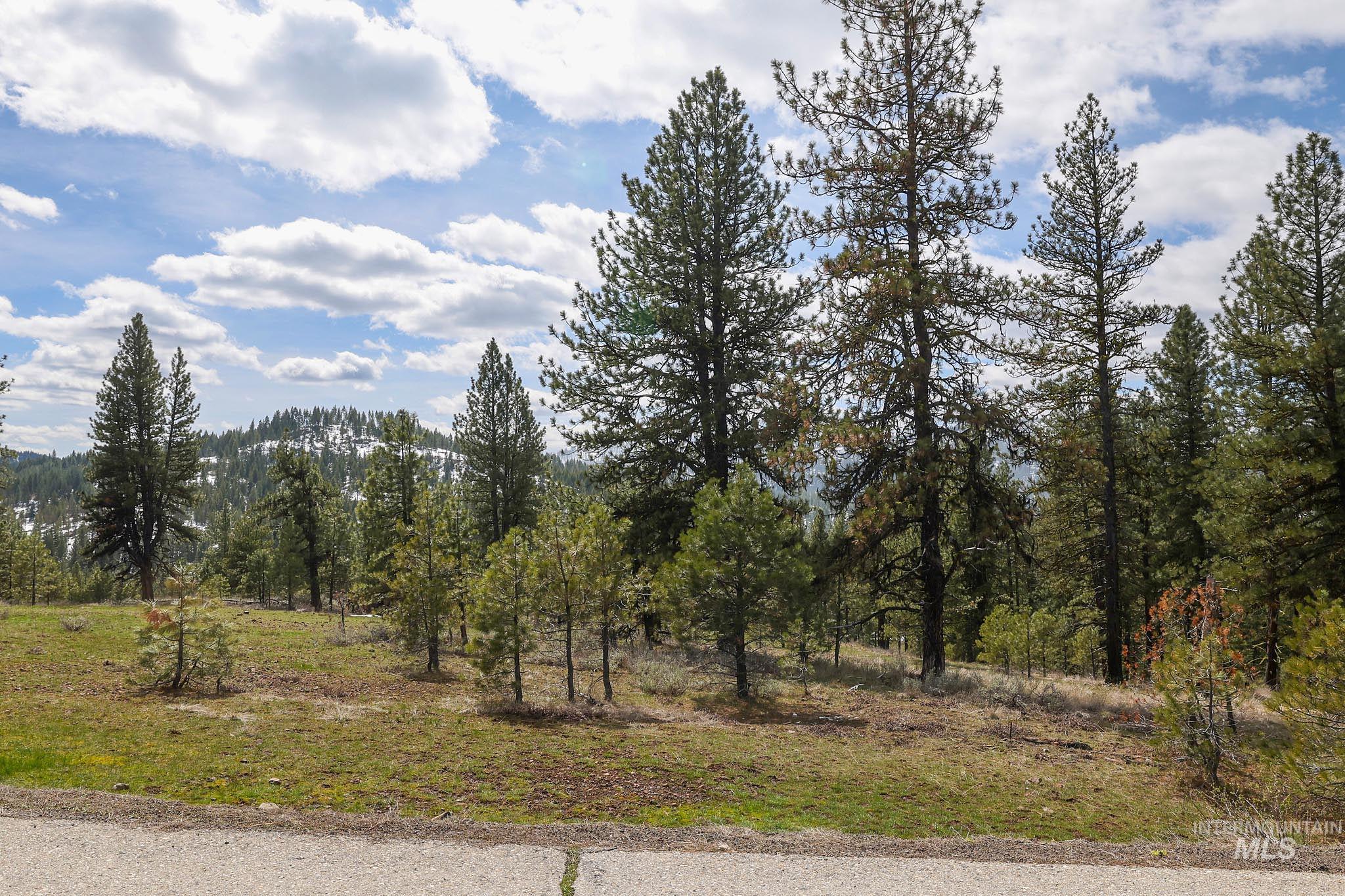 Lot 14 Tamarack View Property Photo 12