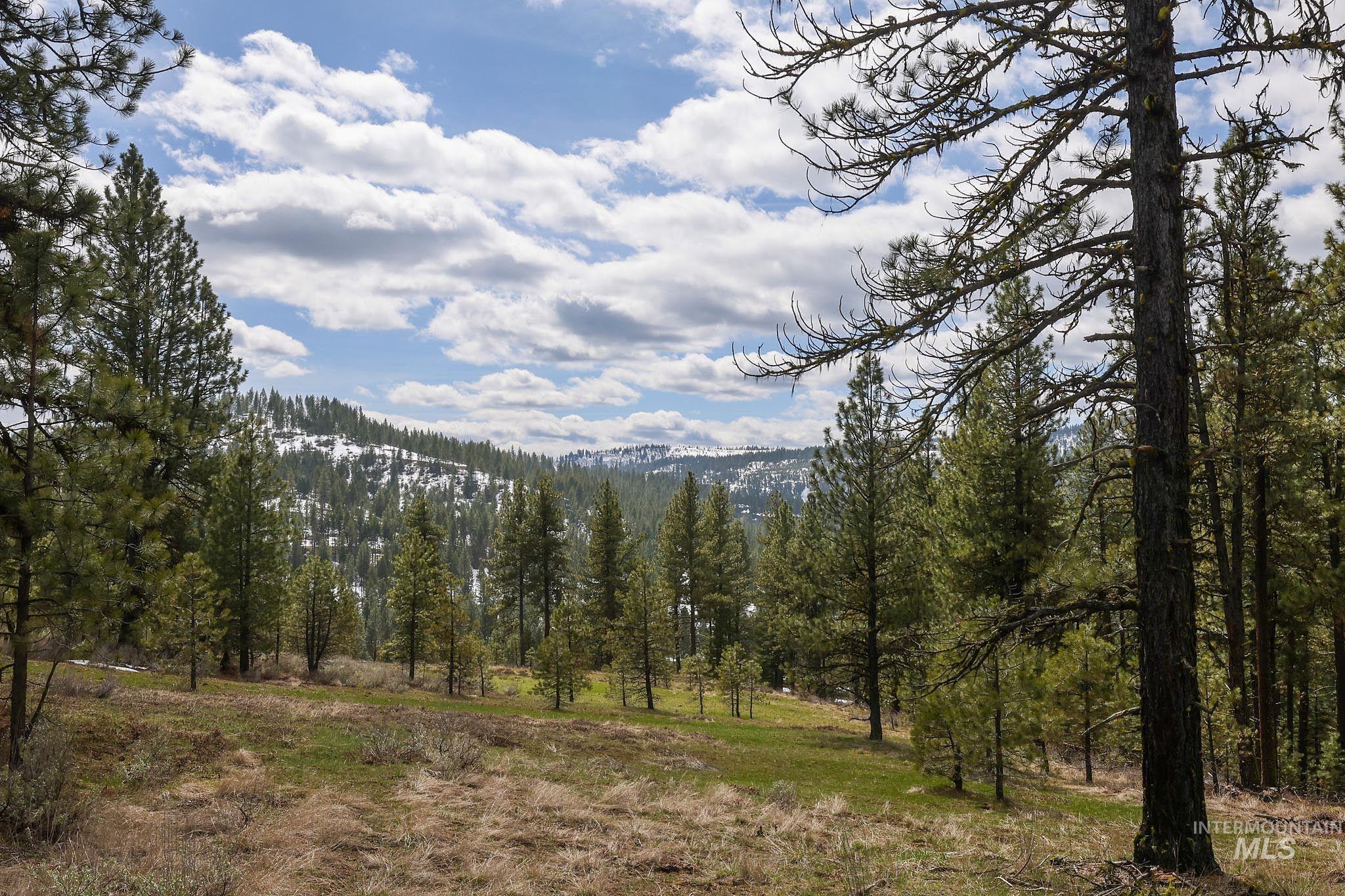 Lot 14 Tamarack View Property Photo 15