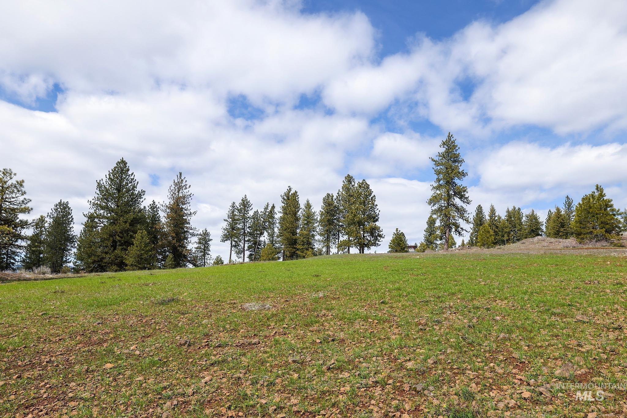 Lot 14 Tamarack View Property Photo 19