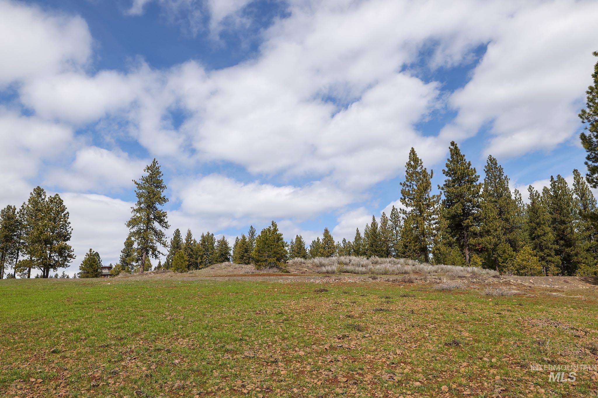 Lot 14 Tamarack View Property Photo 20