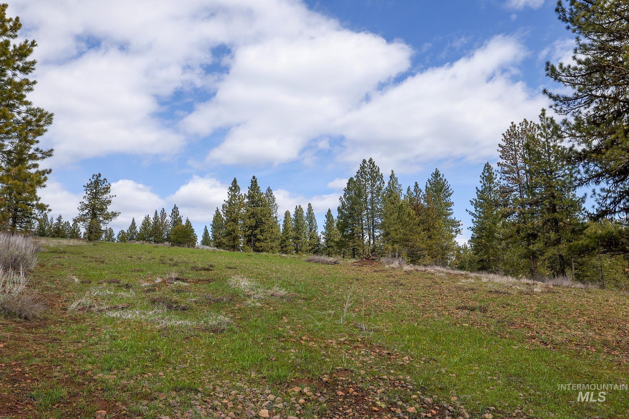 Lot 14 Tamarack View Property Photo 21