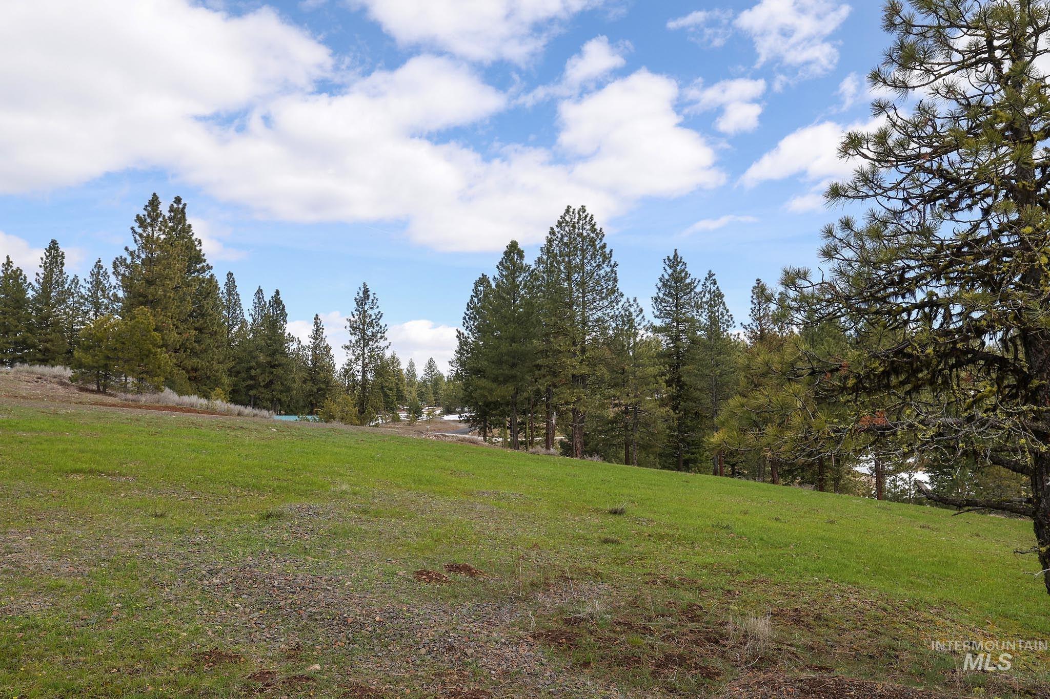 Lot 14 Tamarack View Property Photo 22