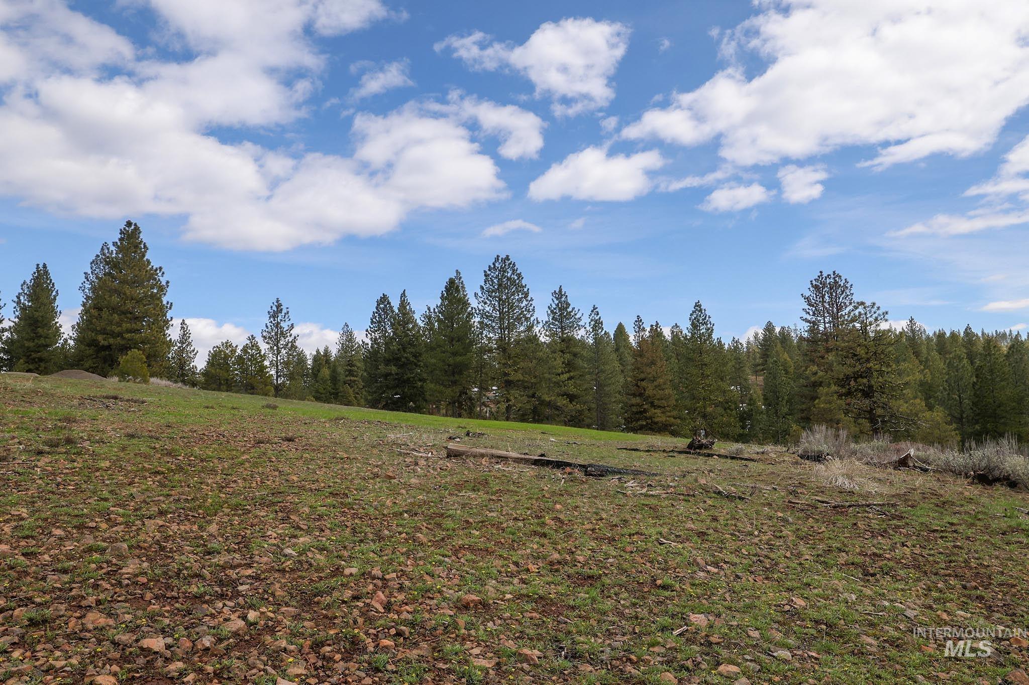 Lot 14 Tamarack View Property Photo 23